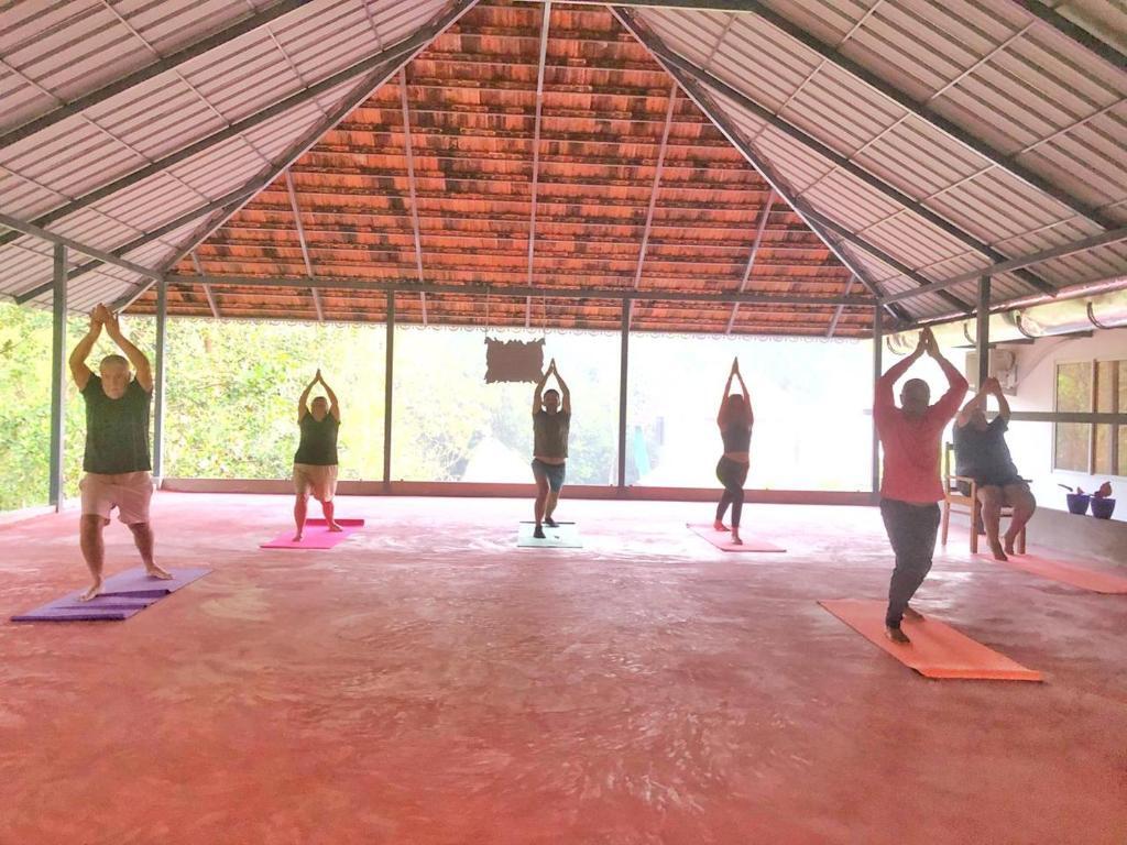 Атирапалли: Vajra Ayurveda and Yoga Retreat