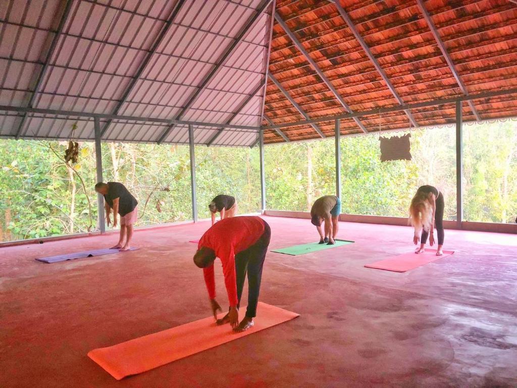 Атирапалли: Vajra Ayurveda and Yoga Retreat
