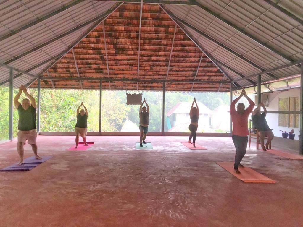Атирапалли: Vajra Ayurveda and Yoga Retreat