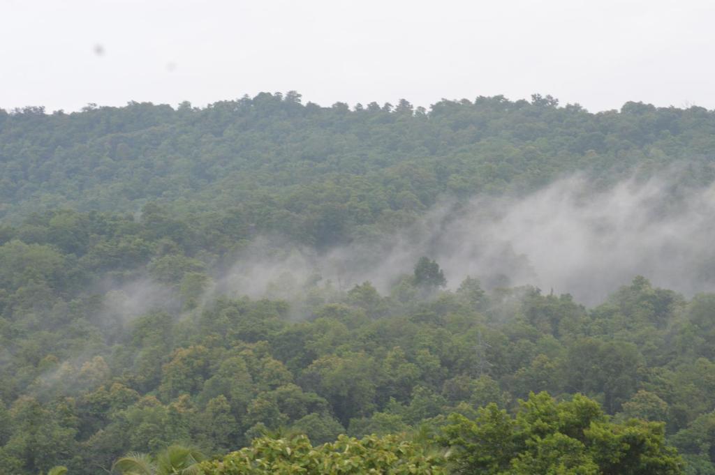 Атирапалли: Athirappilly Rainland Resort