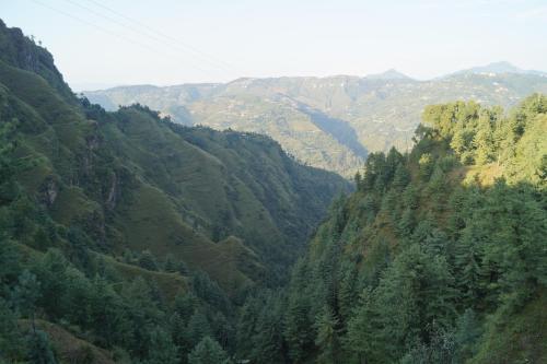 Куфри: Shivanchal Homestay