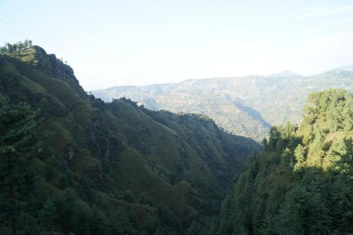 Куфри: Shivanchal Homestay