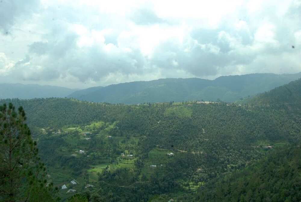 Куфри: Jungle Livinn Camps and Retreat