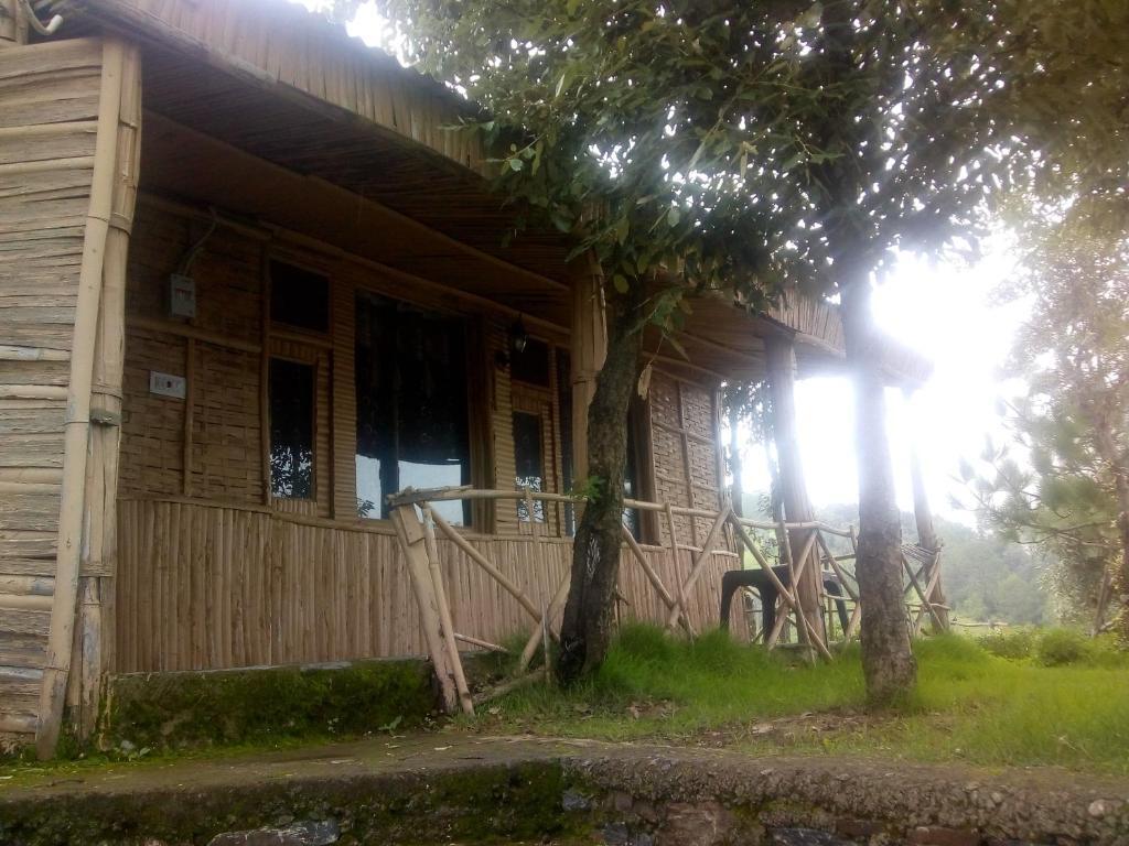 Шоги: Century Highland Resort
