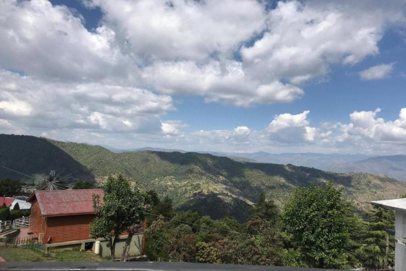 Куфри: Tarika Resort & Spa, Chail
