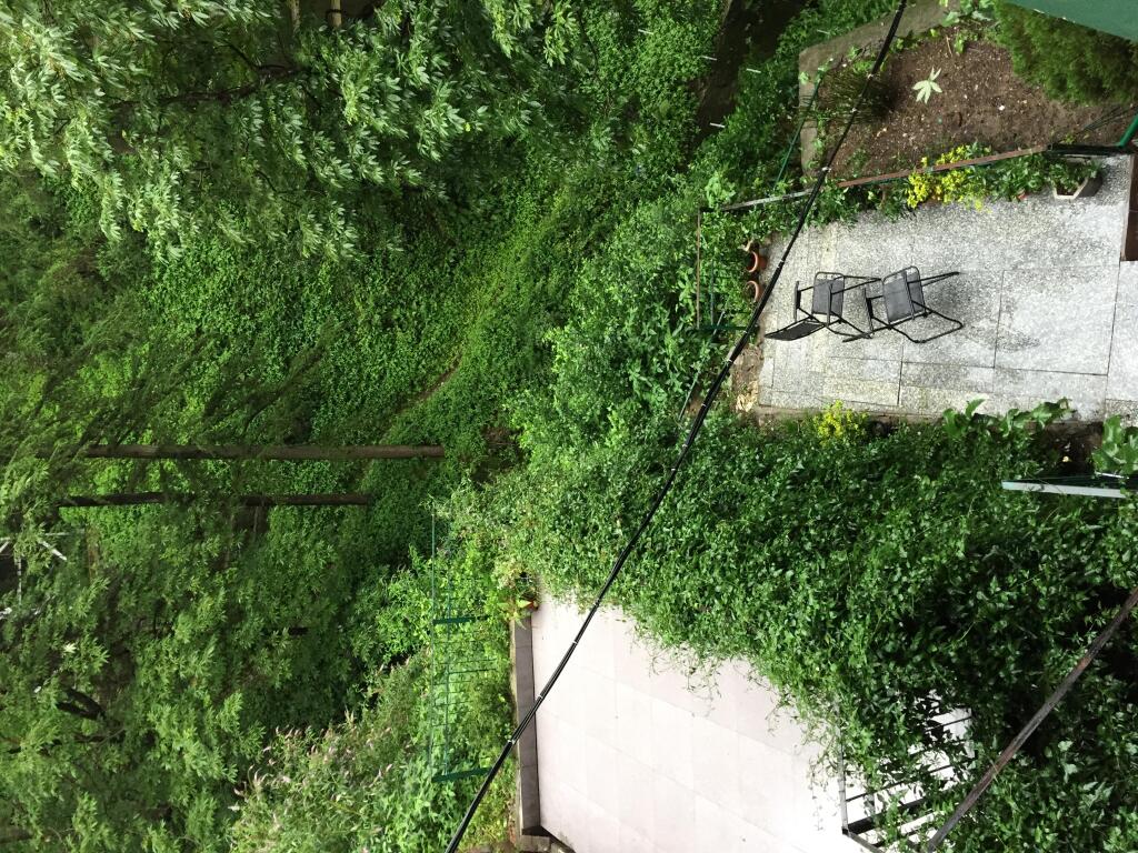 Шимла: Hotel Woodland