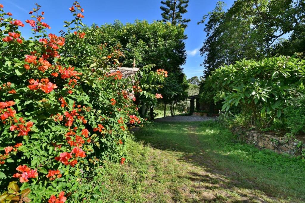 Палани: SaffronStays Nandanvan Estate, Kodaikanal