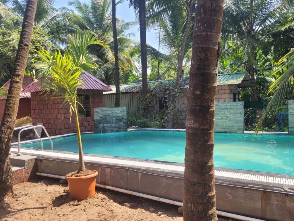 Даполи: Cocorico Beach Resort