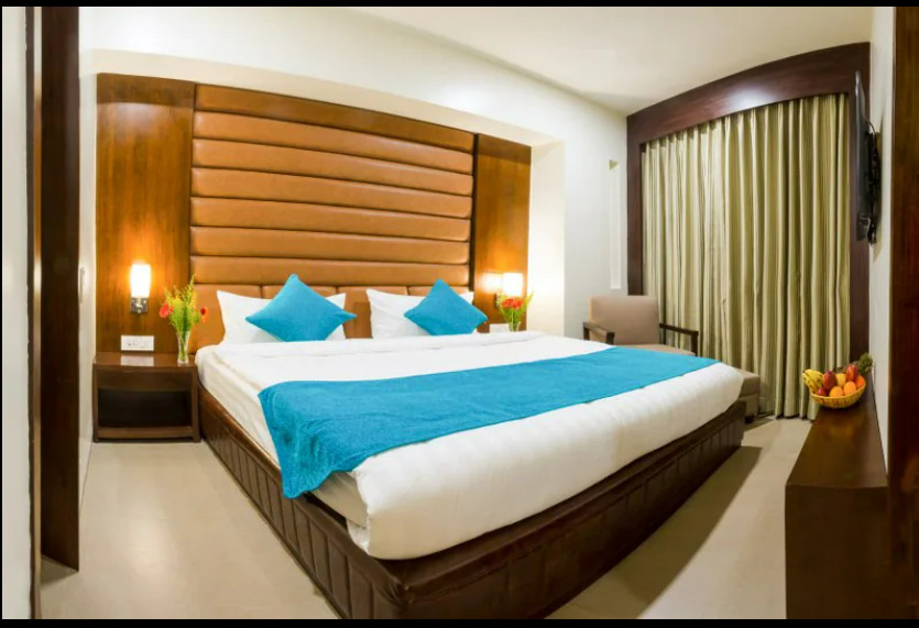 Аджмер: Bravia Hotel