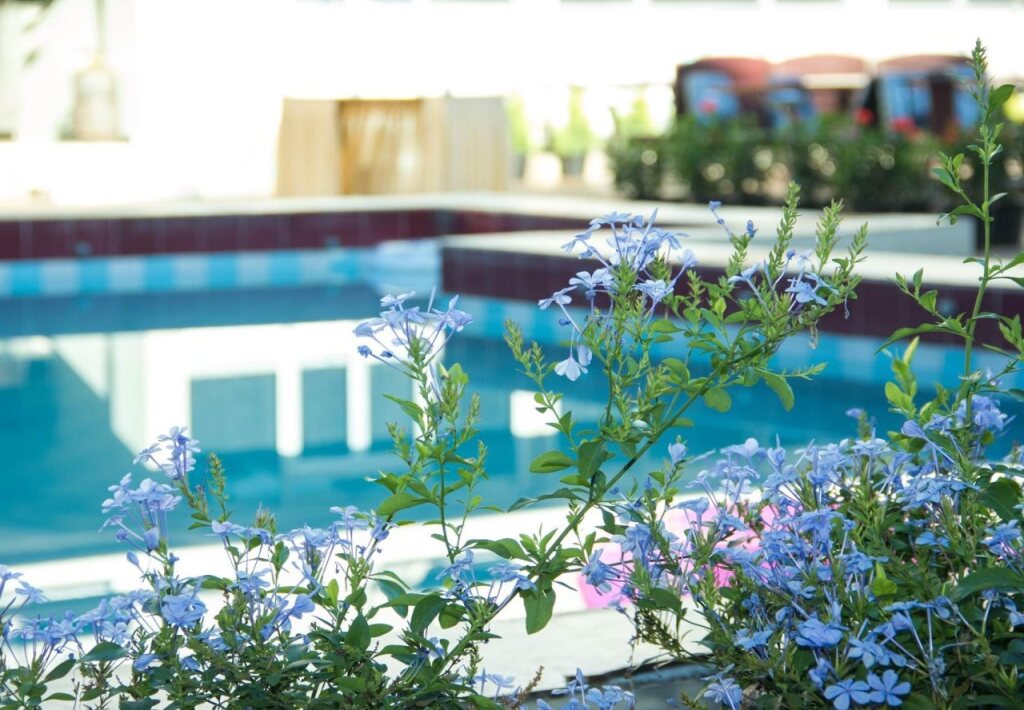 Лонавала: Mountview Resort and Spa