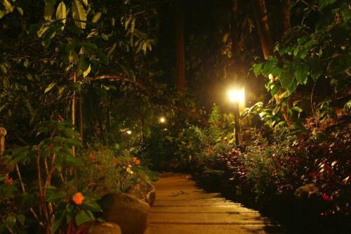 Велламундра: Jungle Retreat Wayanad