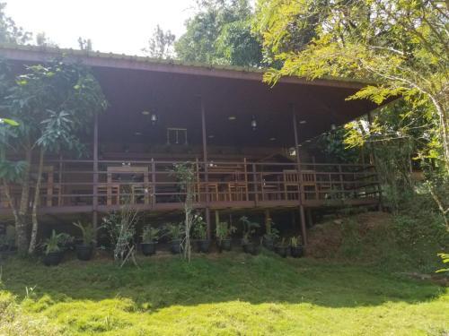Велламундра: Jungle Retreat Wayanad