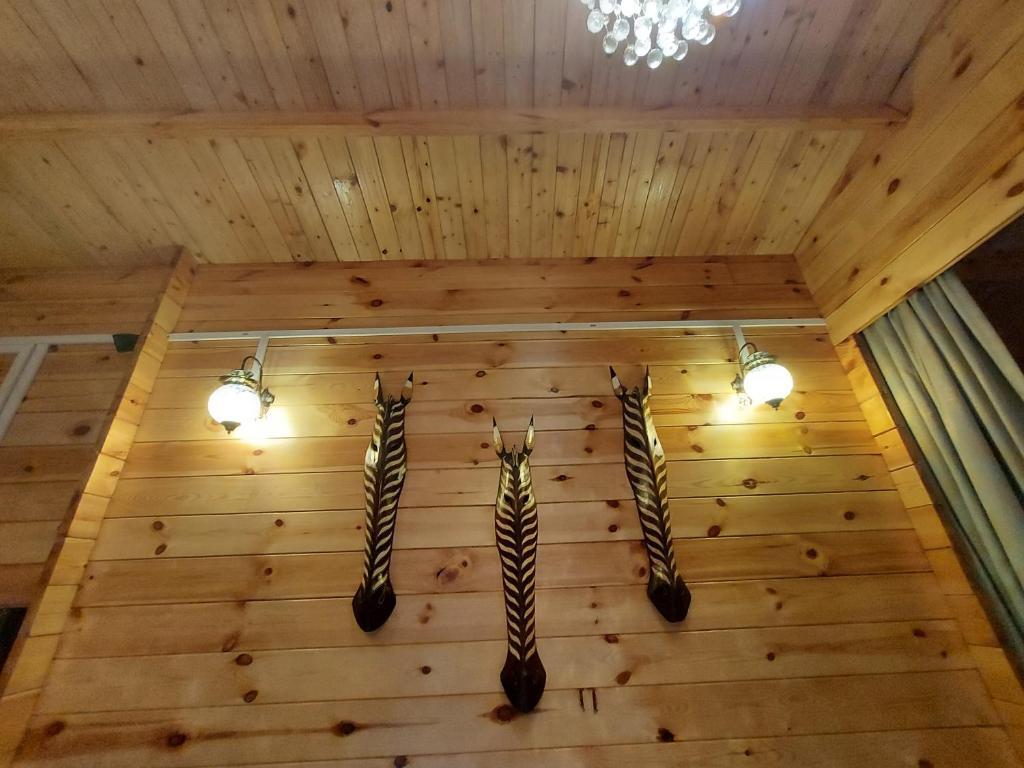 Порт-Блэр: Adhvasaha Beach Spa Resort