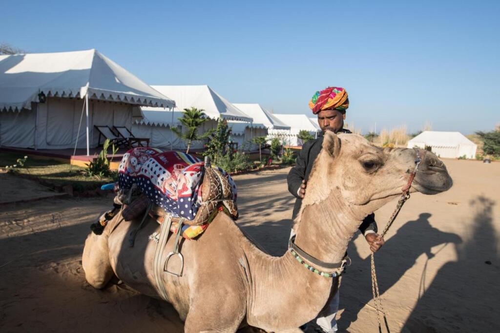 Аджмер: Pushkar Adventure Camp And Camel Safari