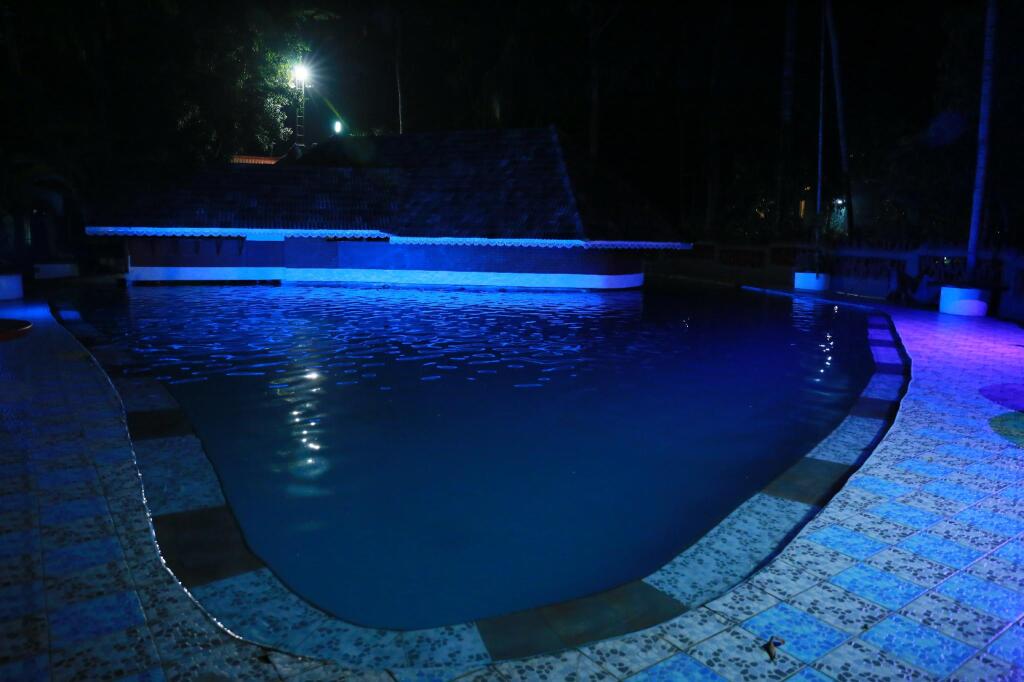 Паллипурам: Emarald Resort