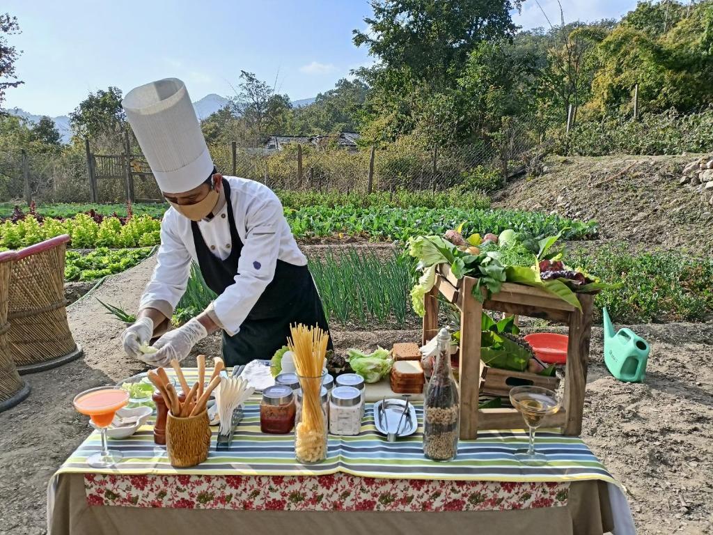 Крепость Ramnagar: Paatlidun Safari Lodge, Jim Corbett