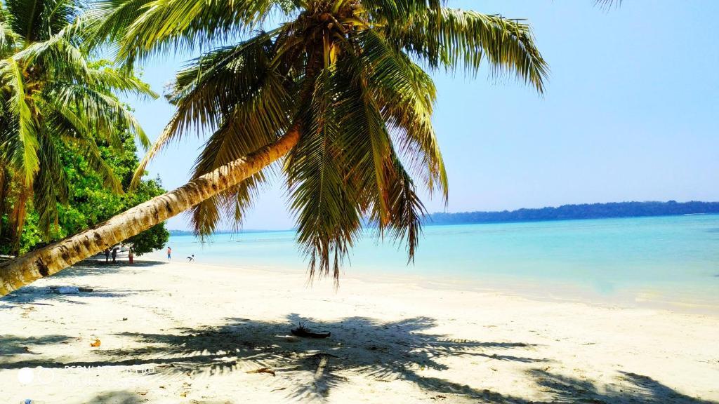 Остров Swaraj Dweep: Shangrilas Beach Resort