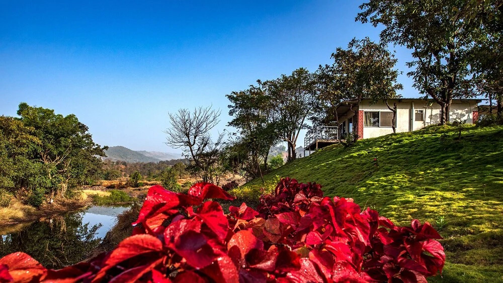 Лаваса: The Lazy River Cottage by cosmicstays