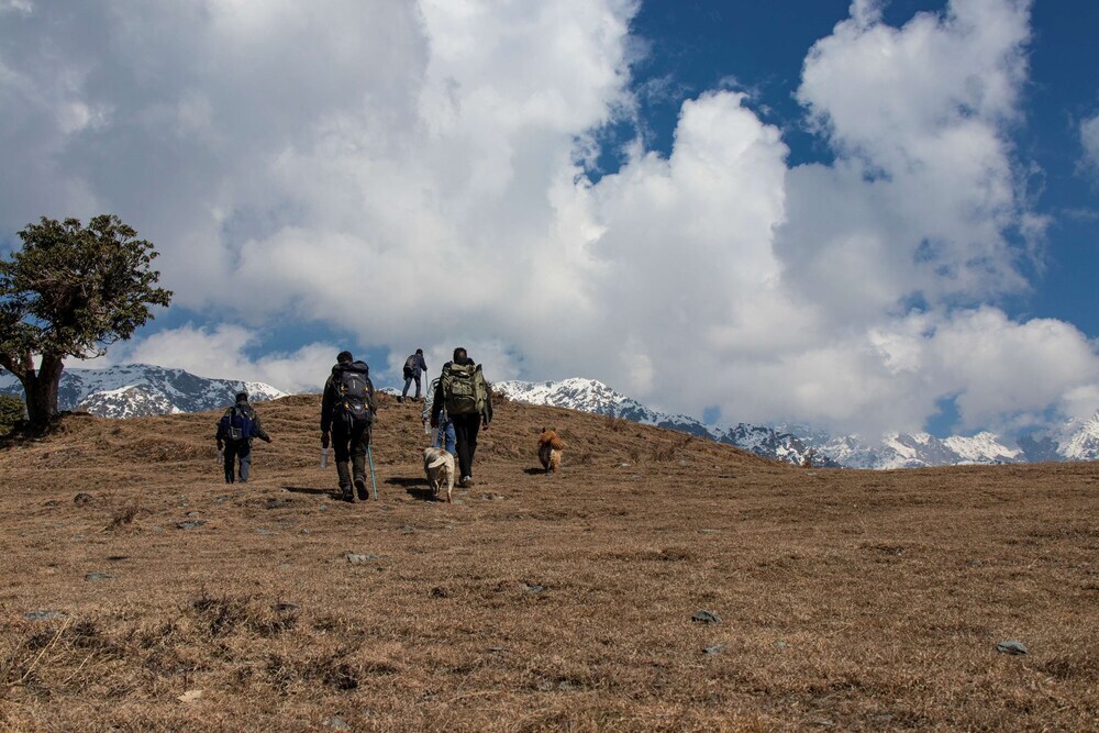 Кангра: Rakkh Resort, A Member Of Radisson Individuals Retreats