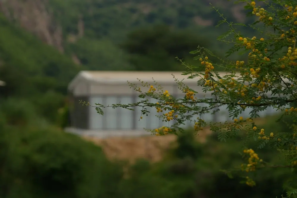 Ачрол: Teela The Glamping Resort