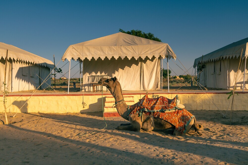 Государственный заповедник Desert National Park: Royal Pavilion Camps