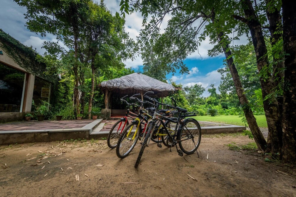 Турья: Mahua Vann Pench