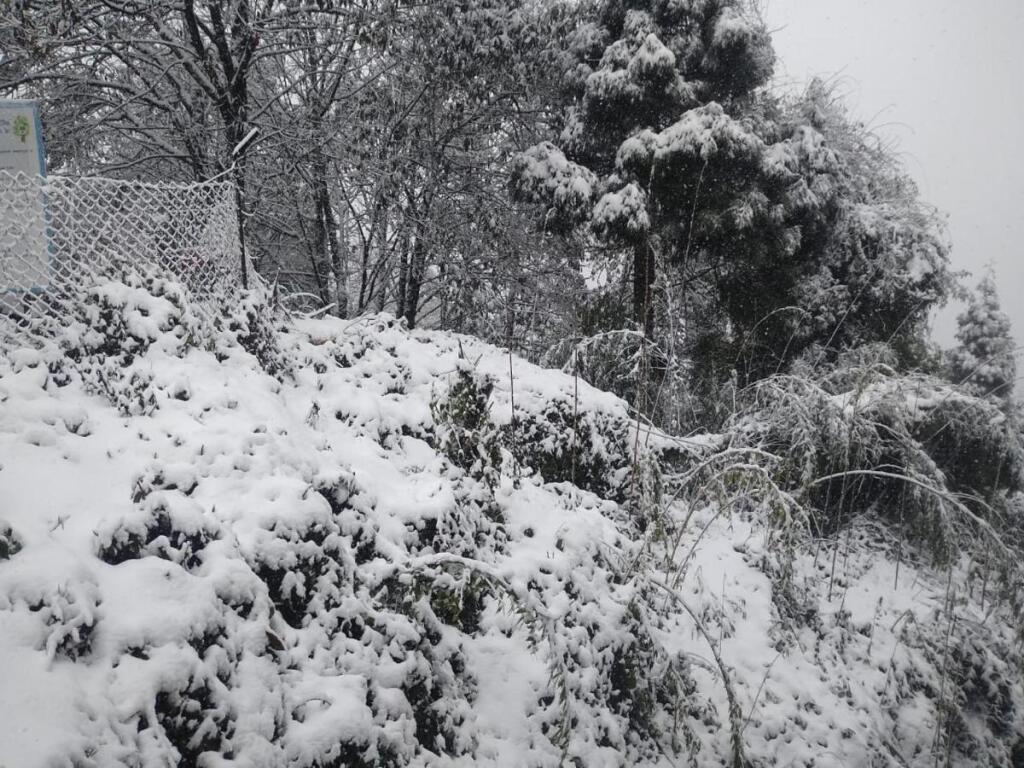 Дарджилинг: Hotel Himalaya Residency