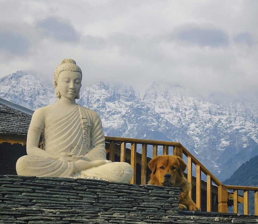 Кангра: Osho Himalayas