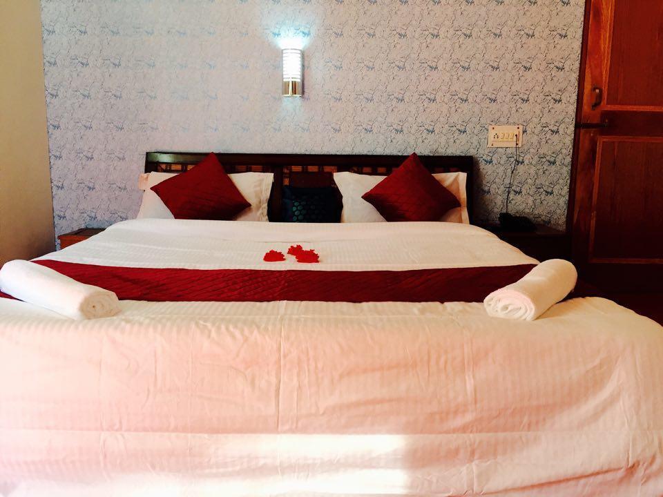 Манали: Hotel Alpine