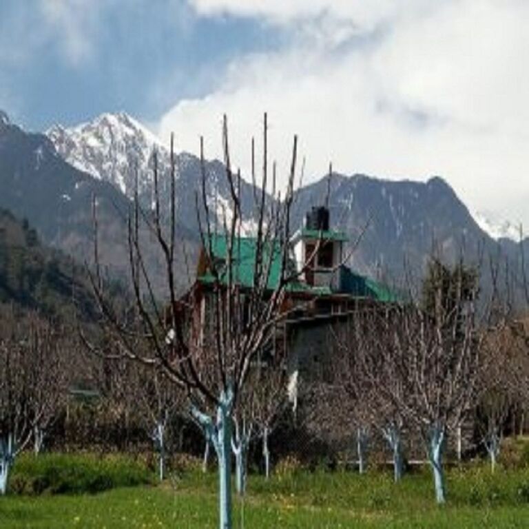 Манали: Nirvana Village Retreat