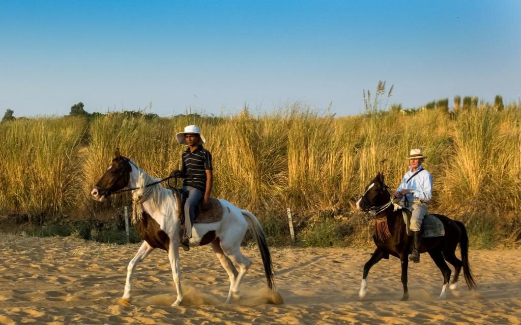 Пушкар: Clarks Safari Pushkar