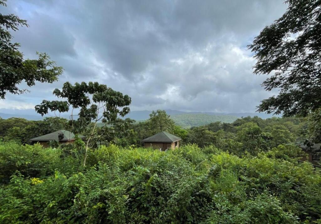 Кавелоссим: The Postcard Hideaway Netravali Goa