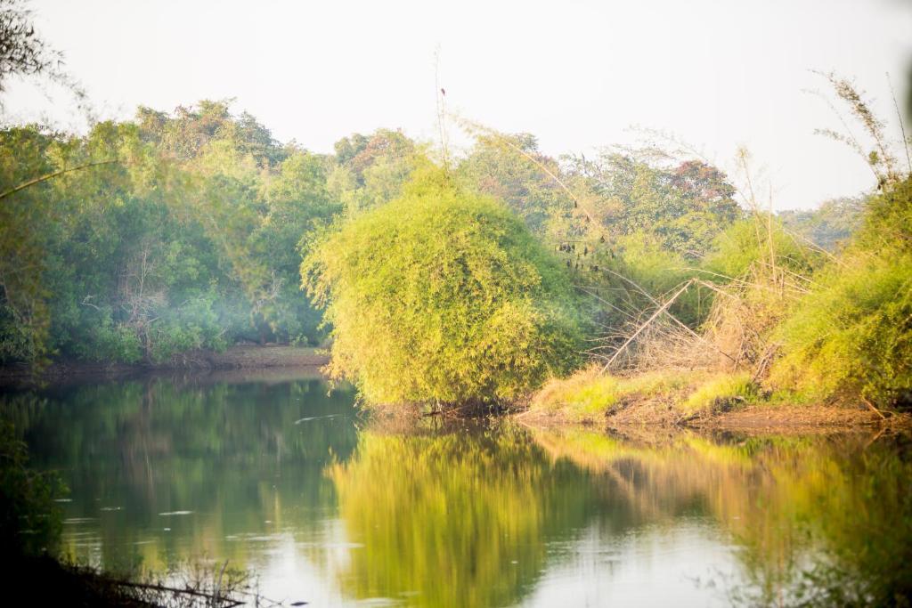 Кавелоссим: The Postcard Hideaway Netravali Goa