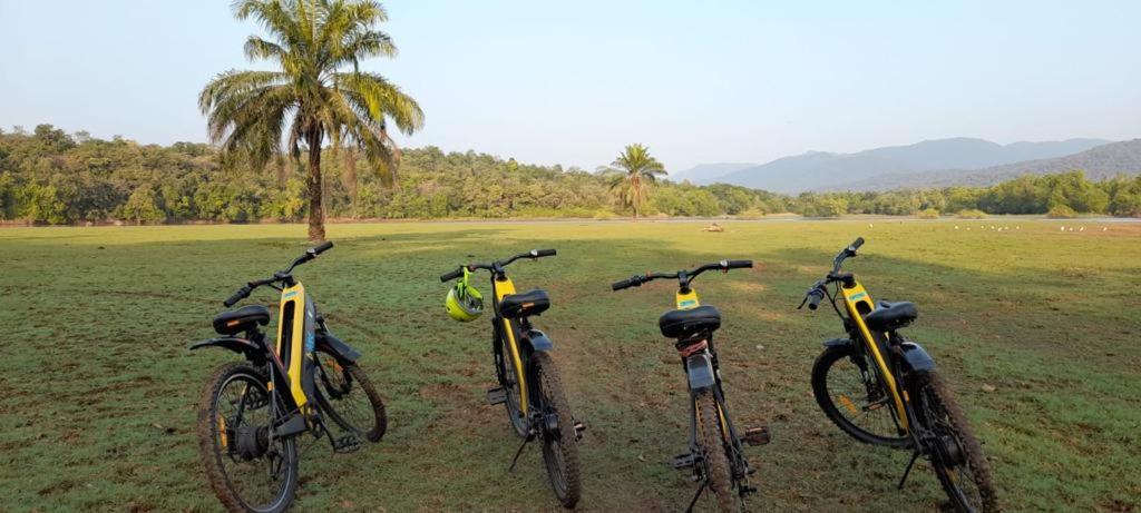 Кавелоссим: The Postcard Hideaway Netravali Goa