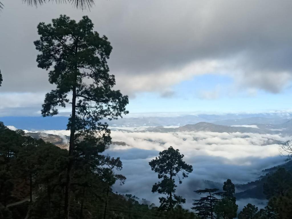 Раникхет: The Ranikhet Continental