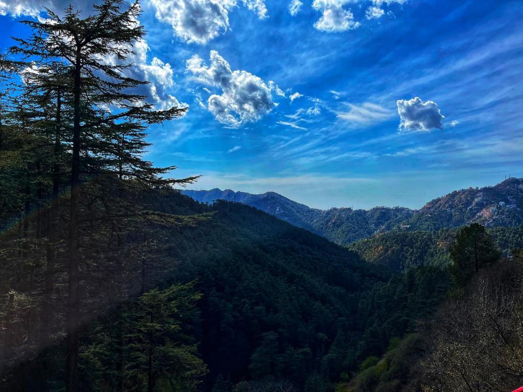 Шимла: Bellmont Villa Shimla