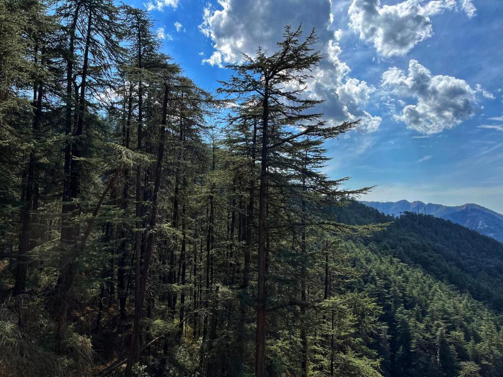 Шимла: Bellmont Villa Shimla