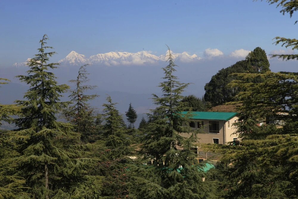 Сукха: BluSalzz Escapade Anant Rasa, Shitlakhet - Ranikhet