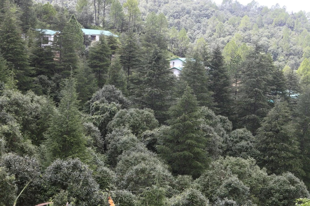 Сукха: BluSalzz Escapade Anant Rasa, Shitlakhet - Ranikhet