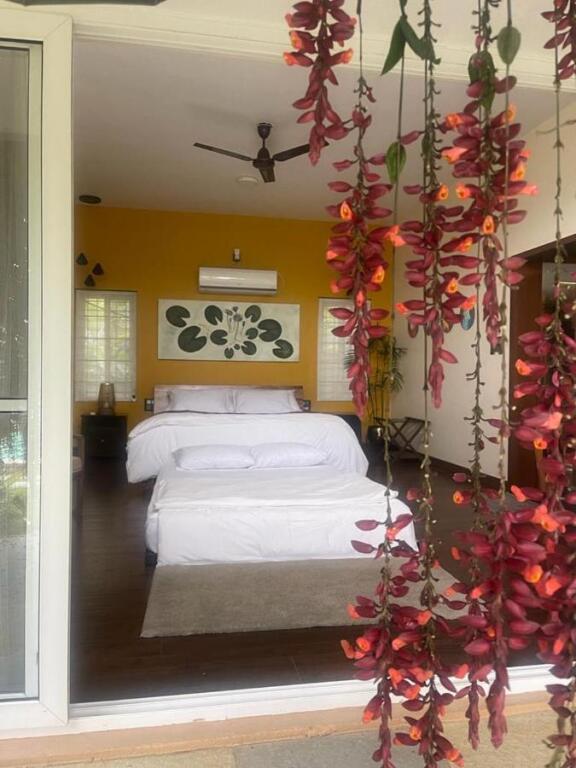 Orchid Tree Wellness Retreat — фото 1