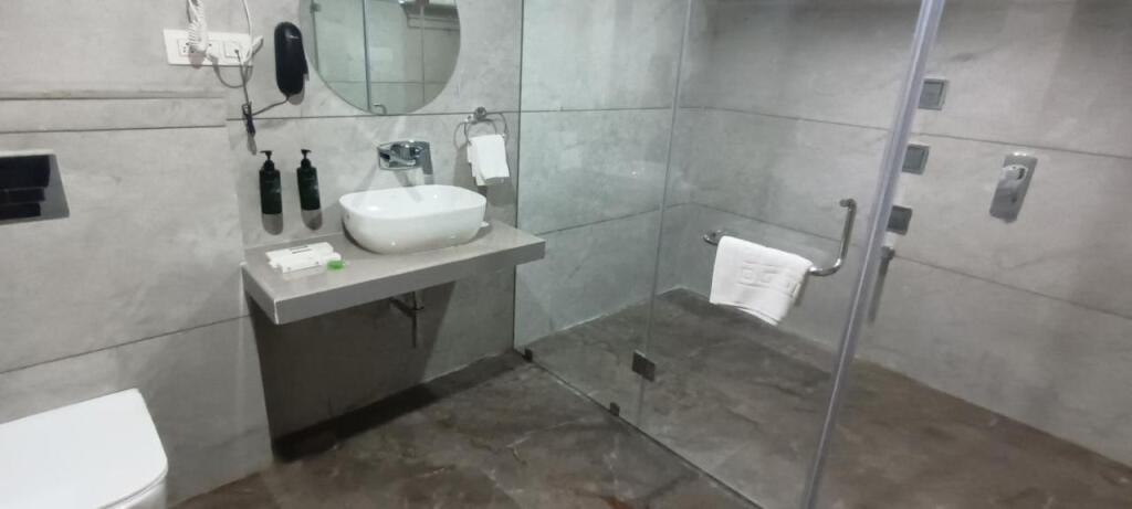 Гарудешвар: Comfort Inn, Statue of Unity