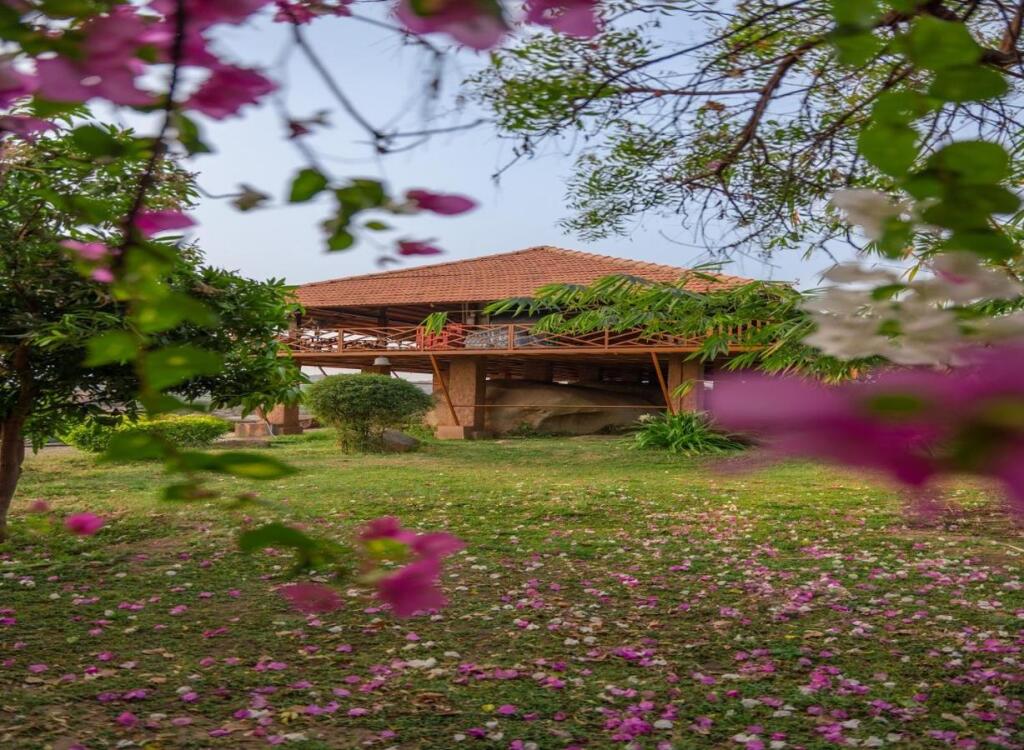 Хоспет: Leo Wooden Resort