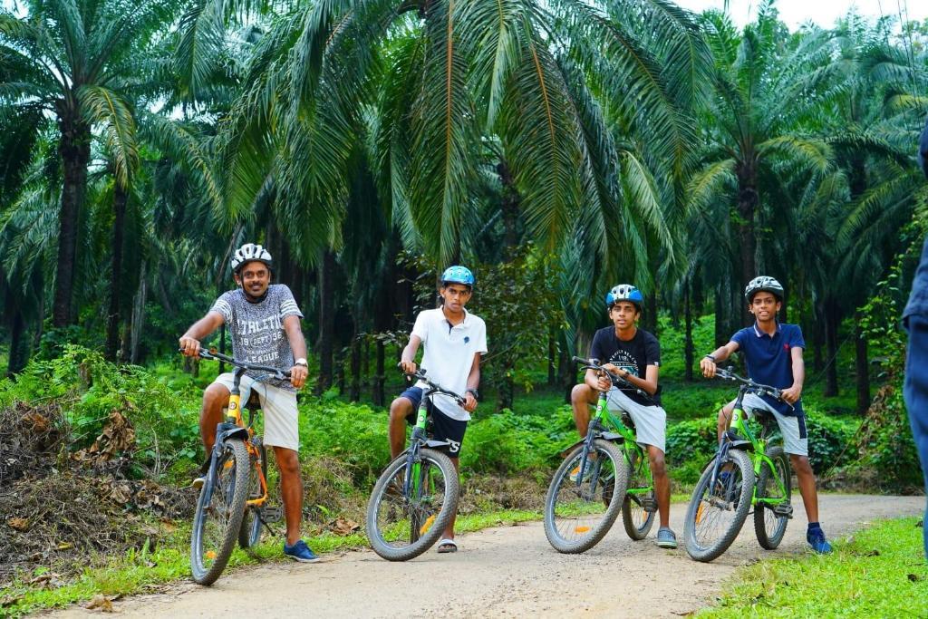 Karukutty: Palattys Resorts