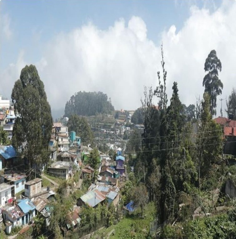 Кодайканал: Hotel Sharma Residency Kodaikanal