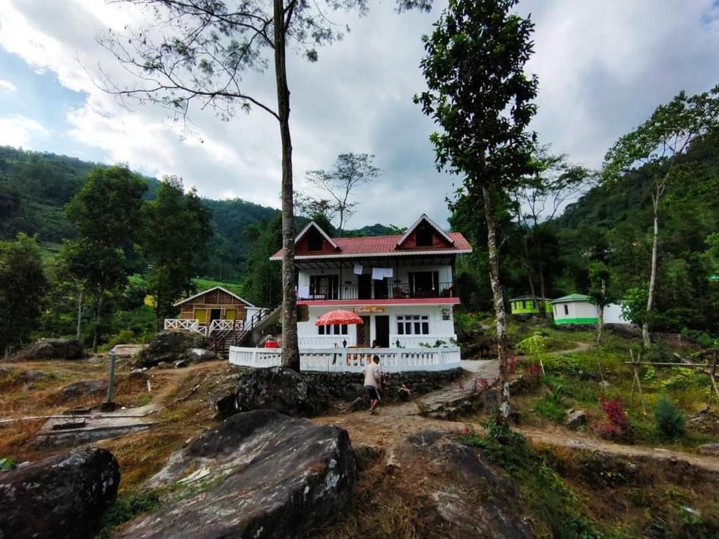 Пеллинг: Chetna Farms