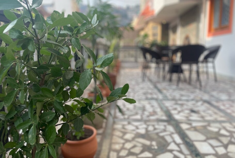 Шимла: Notting Hills Bnb