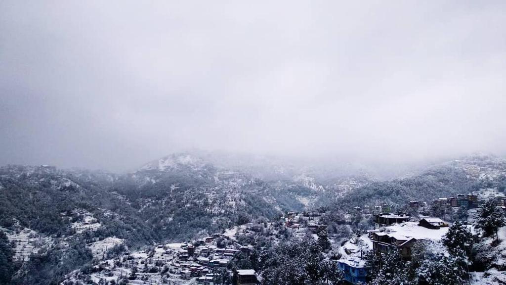 Шимла: Village View Homestay Shimla