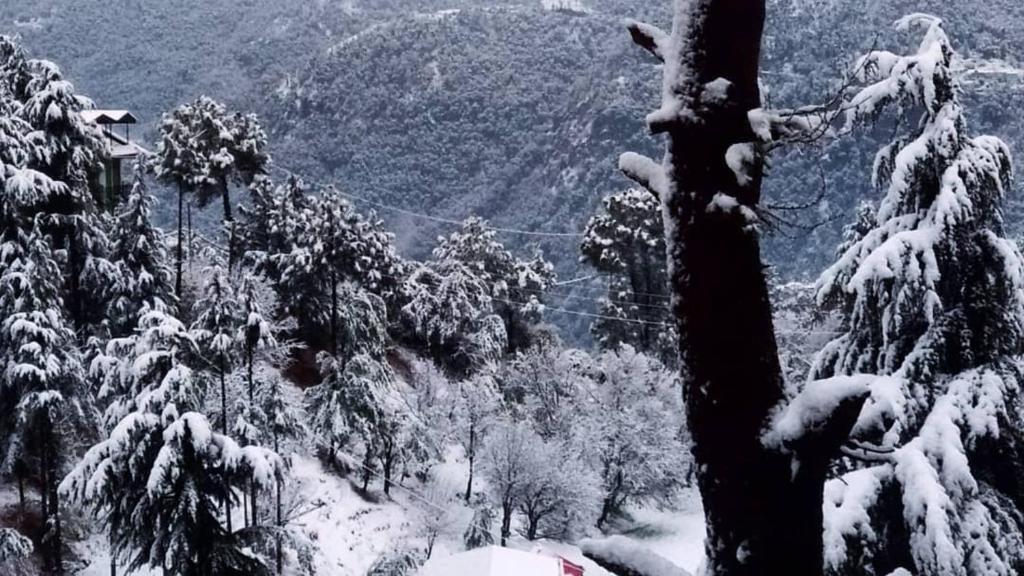 Шимла: Village View Homestay Shimla