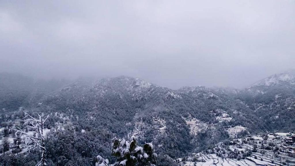 Шимла: Village View Homestay Shimla