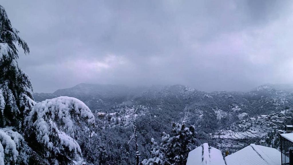 Шимла: Village View Homestay Shimla